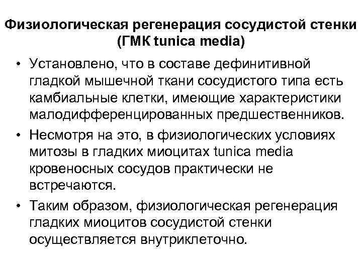 Физиологическая регенерация сосудистой стенки (ГМК tunica media) • Установлено, что в составе дефинитивной гладкой