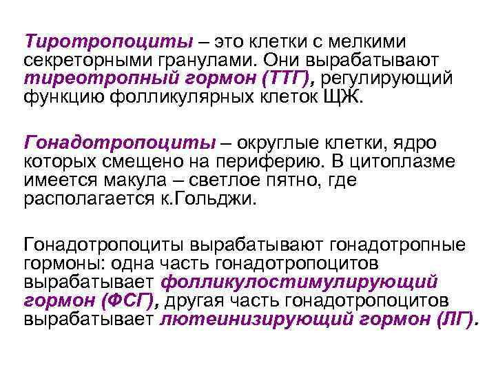Тиротропоциты – это клетки с мелкими секреторными гранулами. Они вырабатывают тиреотропный гормон (ТТГ), регулирующий