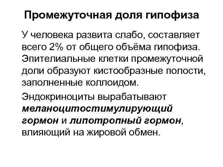 Промежуточная доля гипофиза У человека развита слабо, составляет всего 2% от общего объёма гипофиза.