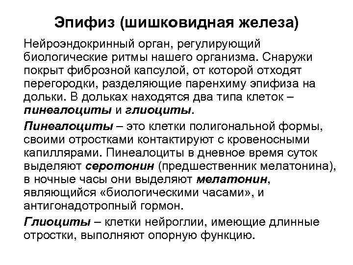 Эпифиз (шишковидная железа) Нейроэндокринный орган, регулирующий биологические ритмы нашего организма. Снаружи покрыт фиброзной капсулой,