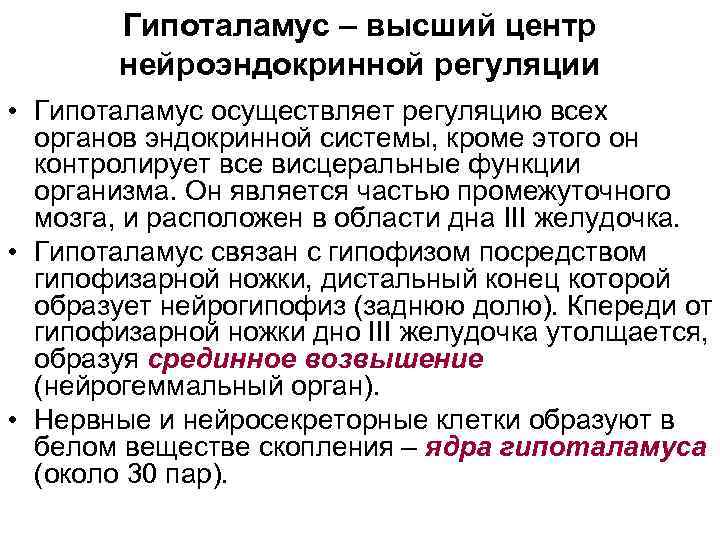 Гипоталамус – высший центр нейроэндокринной регуляции • Гипоталамус осуществляет регуляцию всех органов эндокринной системы,