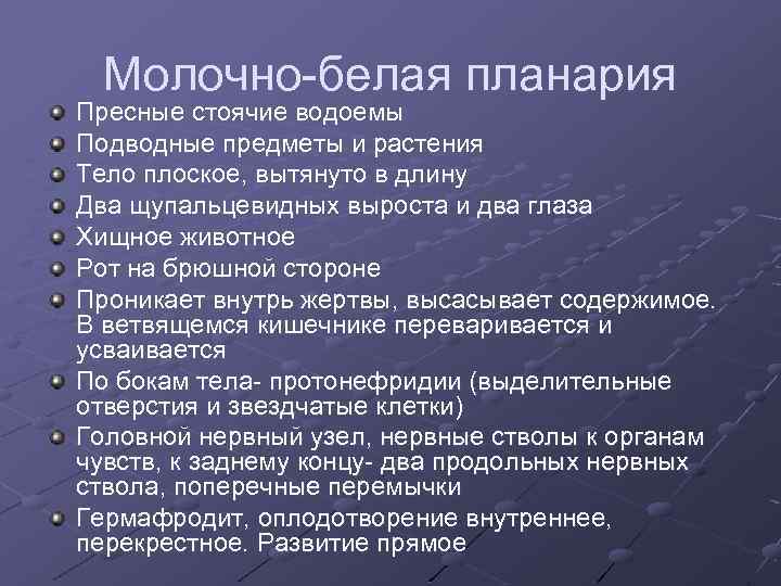 Молочно-белая планария Пресные стоячие водоемы Подводные предметы и растения Тело плоское, вытянуто в длину