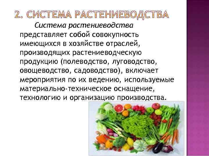 Система растениеводства представляет собой совокупность имеющихся в хозяйстве отраслей, производящих растениеводческую продукцию (полеводство, луговодство,