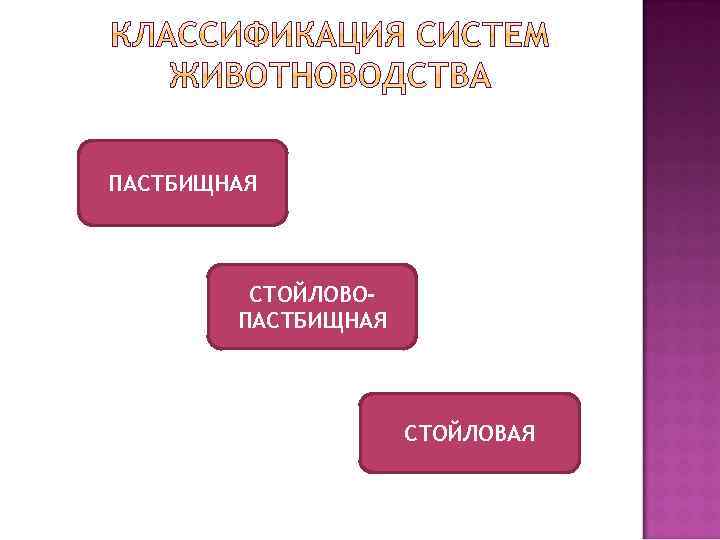 ПАСТБИЩНАЯ СТОЙЛОВОПАСТБИЩНАЯ СТОЙЛОВАЯ 