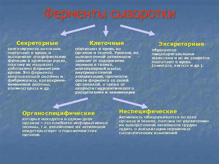 Ферменты сыворотки Секреторные Клеточные синтезируются клетками, поступают в кровь и выполняют специфические функции в