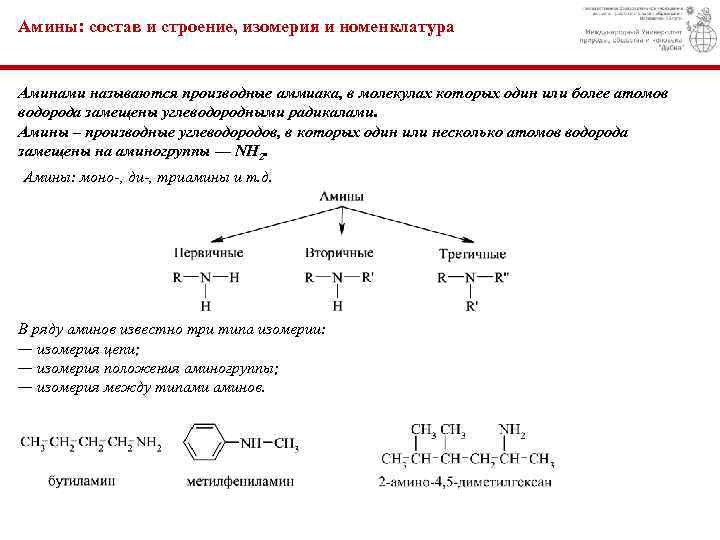 Амины: состав и строение, изомерия и номенклатура Аминами называются производные аммиака, в молекулах которых