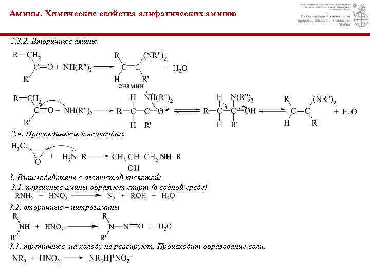 План урока амины 10 класс