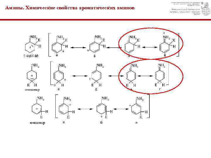 Амины. Химические свойства ароматических аминов 