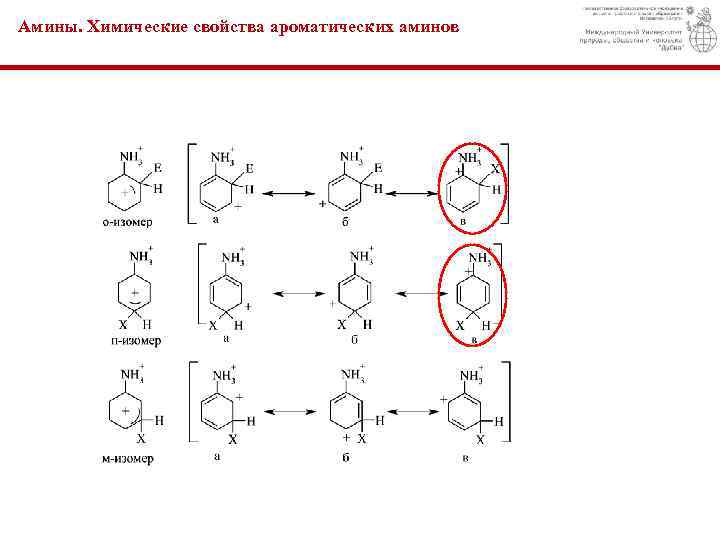 Амины. Химические свойства ароматических аминов 
