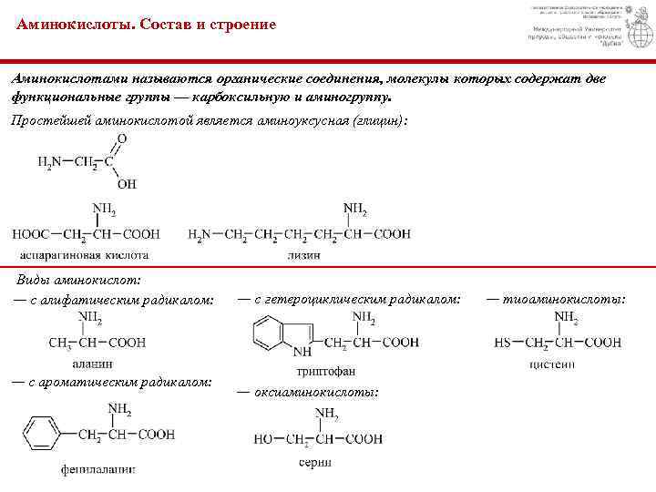 Аминокислоты. Состав и строение Аминокислотами называются органические соединения, молекулы которых содержат две функциональные группы