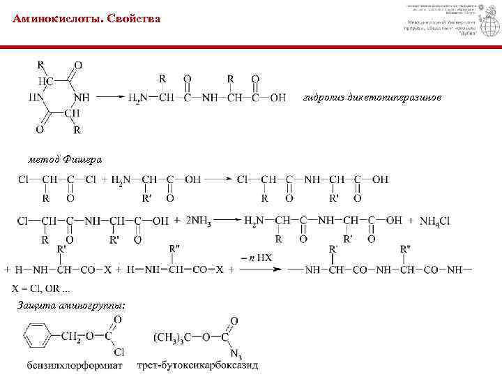 Аминокислоты. Свойства гидролиз дикетопиперазинов метод Фишера Защита аминогруппы: 