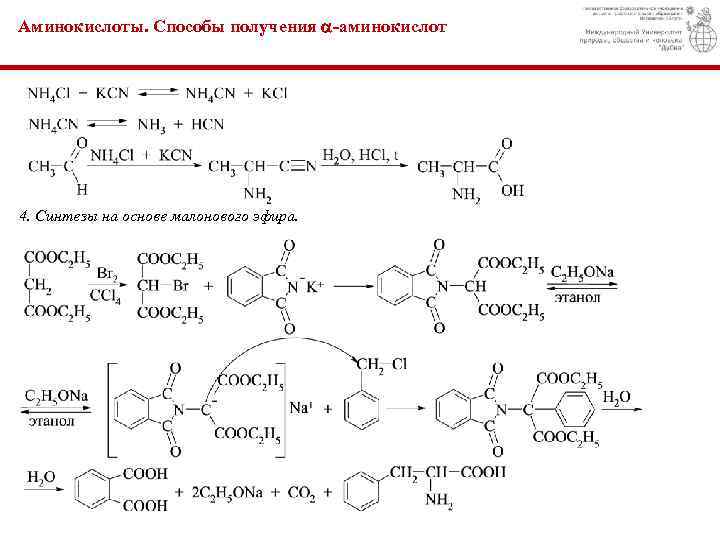 Аминокислоты. Способы получения -аминокислот 4. Синтезы на основе малонового эфира. 