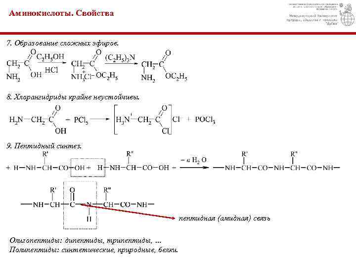 Аминокислоты. Свойства 7. Образование сложных эфиров. 8. Хлорангидриды крайне неустойчивы. 9. Пептидный синтез. пептидная