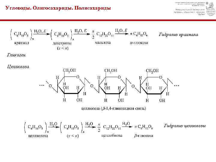 Углеводы. Олигосахариды. Полисахариды Гидролиз крахмала Гликоген Целлюлоза Гидролиз целлюлозы 