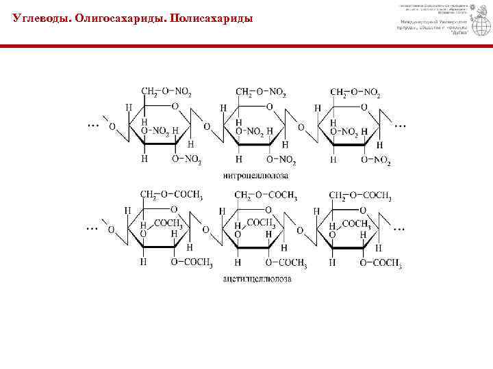 Углеводы. Олигосахариды. Полисахариды 