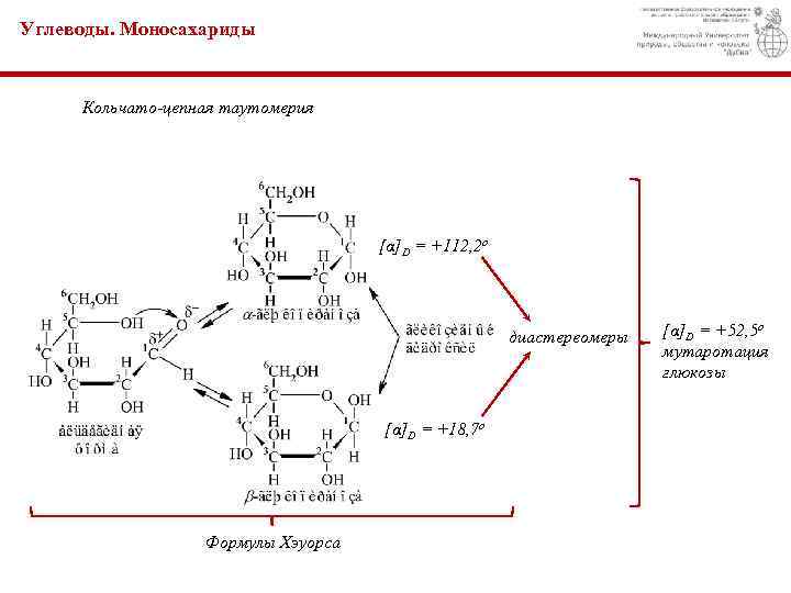 Мутаротация фруктозы схема