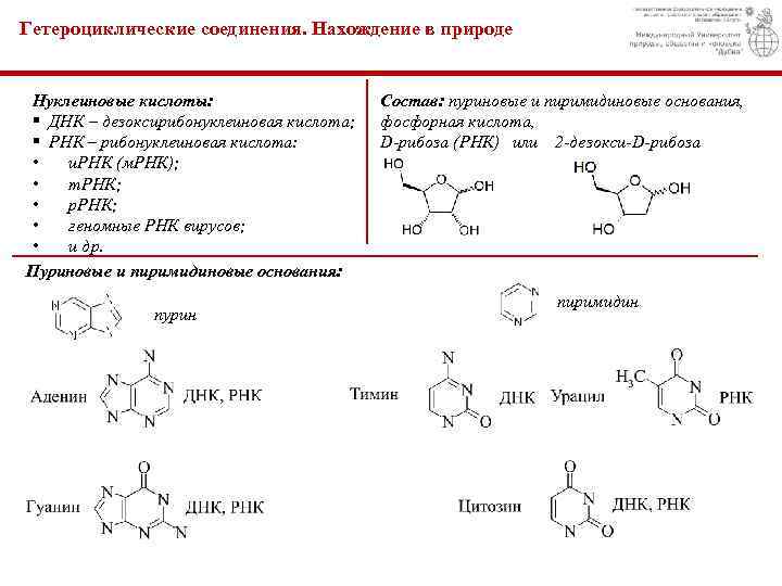 Презентация азотсодержащие гетероциклические соединения нуклеиновые кислоты