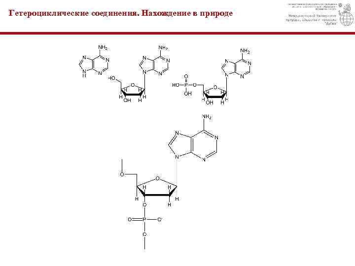 Гетероциклические соединения презентация 10 класс