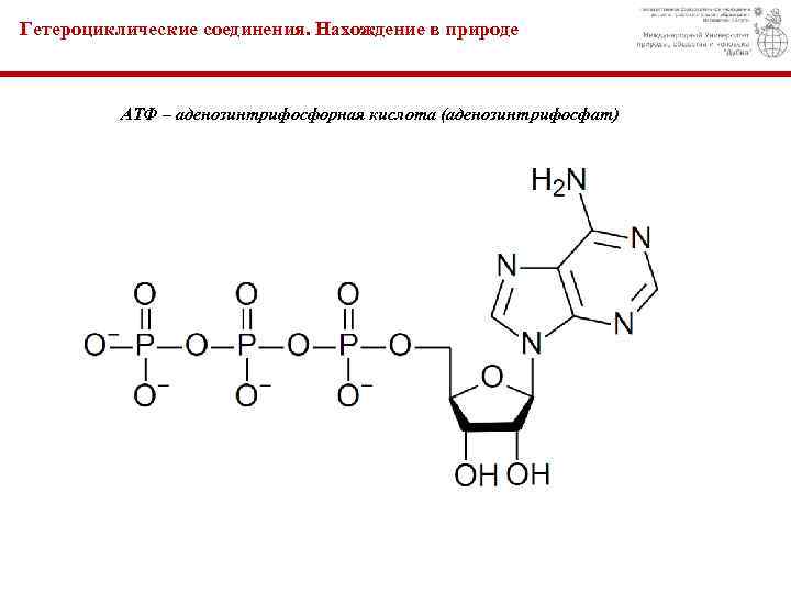 Гетероциклические соединения. Нахождение в природе АТФ – аденозинтрифосфорная кислота (аденозинтрифосфат) 