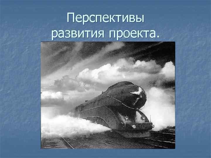 Перспективы развития проекта. 