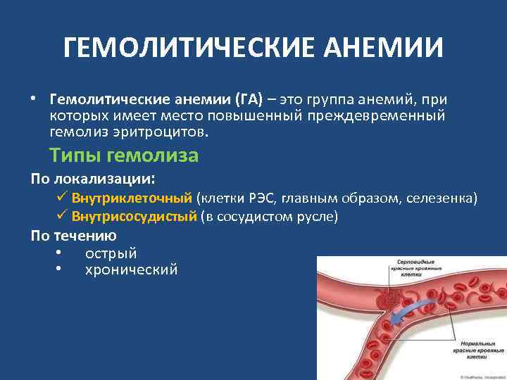 ГЕМОЛИТИЧЕСКИЕ АНЕМИИ • Гемолитические анемии (ГА) – это группа анемий, при которых имеет место