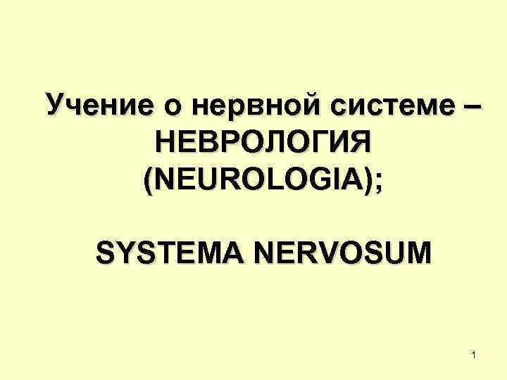 Учение о нервной системе – НЕВРОЛОГИЯ (NEUROLOGIA); SYSTEMA NERVOSUM 1 