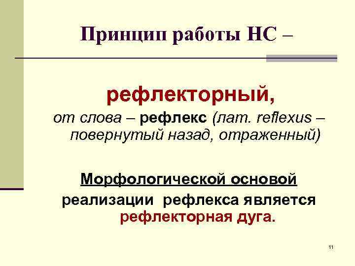 Принцип работы НС – рефлекторный, от слова – рефлекс (лат. reflexus – повернутый назад,