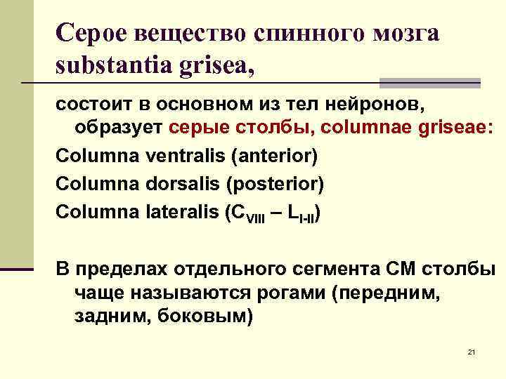 Серое вещество спинного мозга substantia grisea, состоит в основном из тел нейронов, образует серые