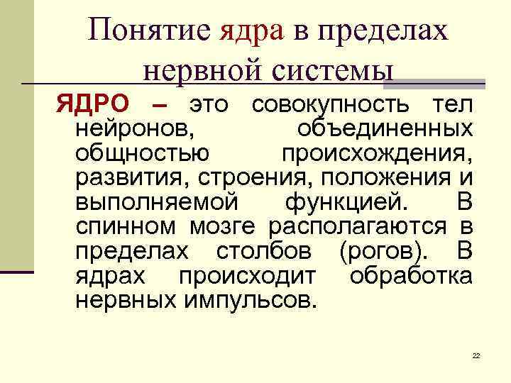 Понятие ядра в пределах нервной системы ЯДРО – это совокупность тел нейронов, объединенных общностью