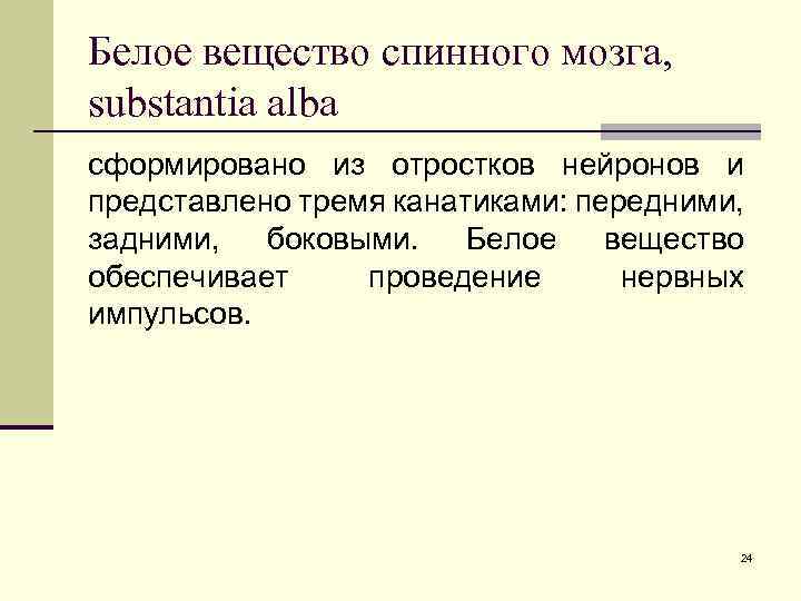 Белое вещество спинного мозга, substantia alba сформировано из отростков нейронов и представлено тремя канатиками: