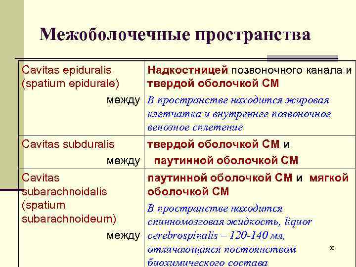 Межоболочечные пространства Cavitas epiduralis Надкостницей позвоночного канала и (spatium epidurale) твердой оболочкой СМ между