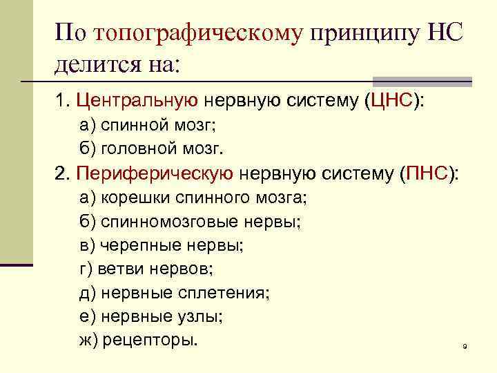 По топографическому принципу НС делится на: 1. Центральную нервную систему (ЦНС): а) спинной мозг;