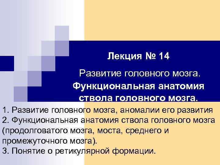 Лекция № 14 Развитие головного мозга. Функциональная анатомия ствола головного мозга. 1. Развитие головного