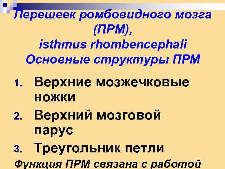 Перешеек ромбовидного мозга (ПРМ), isthmus rhombencephali Основные структуры ПРМ 1. 2. 3. Верхние мозжечковые