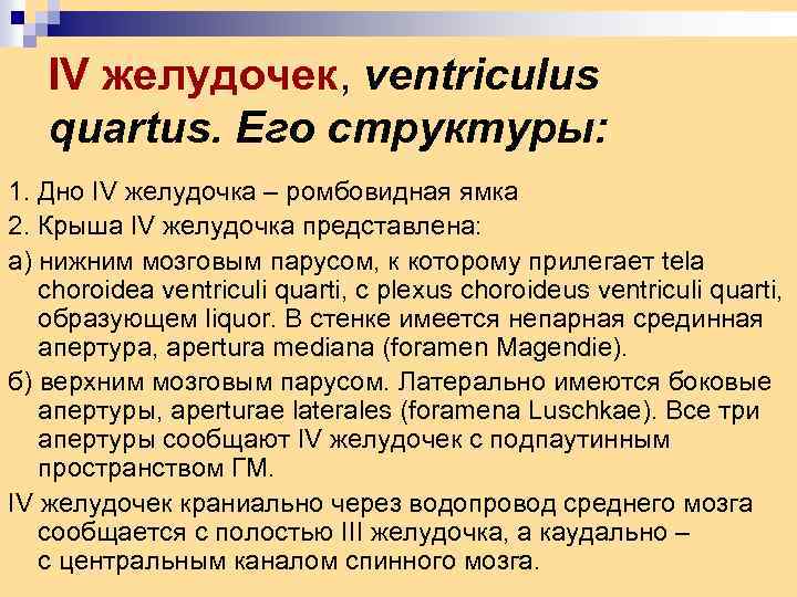 IV желудочек, ventriculus quartus. Его структуры: 1. Дно IV желудочка – ромбовидная ямка 2.