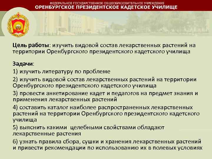 Цель работы: изучить видовой состав лекарственных растений на территории Оренбургского президентского кадетского училища Задачи: