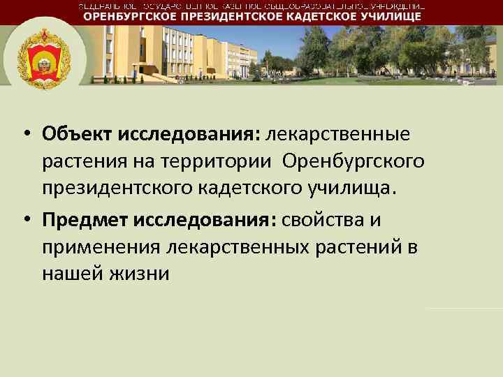  • Объект исследования: лекарственные растения на территории Оренбургского президентского кадетского училища. • Предмет