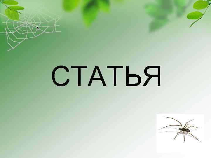 СТАТЬЯ 