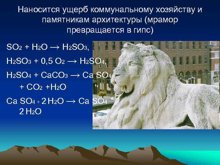 Наносится ущерб коммунальному хозяйству и памятникам архитектуры (мрамор превращается в гипс) SO 2 +