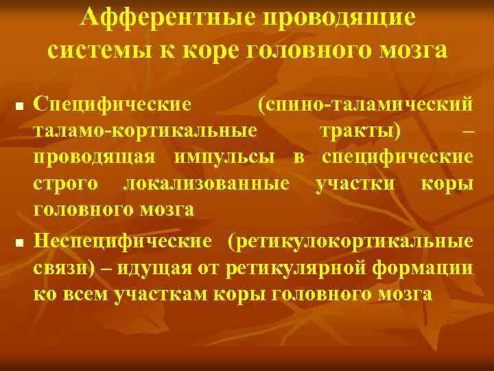 Афферентные проводящие системы к коре головного мозга n n Специфические (спино-таламический таламо-кортикальные тракты) –