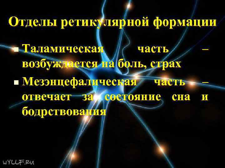 Отделы ретикулярной формации Таламическая часть – возбуждается на боль, страх n Мезэнцефалическая часть –