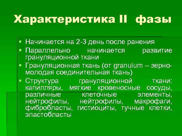 Характеристика II фазы § Начинается на 2 -3 день после ранения § Параллельно начинается
