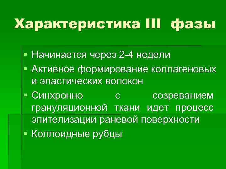 Характеристика III фазы § Начинается через 2 -4 недели § Активное формирование коллагеновых и