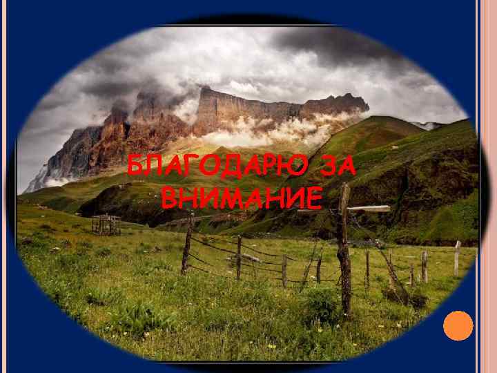 БЛАГОДАРЮ ЗА ВНИМАНИЕ 