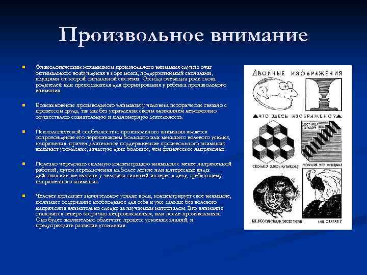 Произвольное внимание картинки