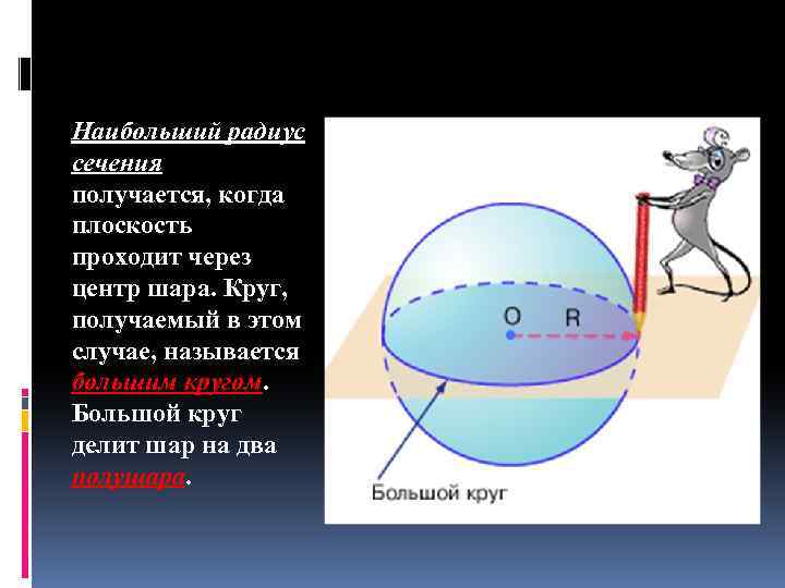 Плоскость проходящая через диаметр. Большой круг шара. Окружность большого круга. Большая окружность шара. Большой круг в шаре.