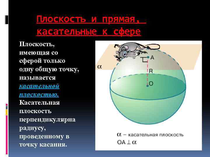 Плоскость и прямая, касательные к сфере Плоскость, имеющая со сферой только одну общую точку,