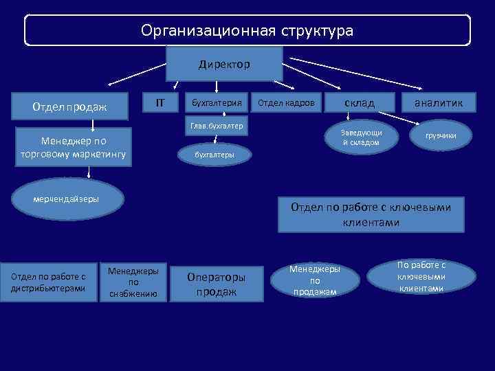 Организационная структура Директор IT Отдел продаж бухгалтерия Глав. бухгалтер Менеджер по торговому маркетингу аналитик