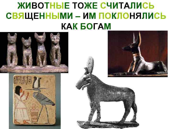 ЖИВОТНЫЕ ТОЖЕ СЧИТАЛИСЬ СВЯЩЕННЫМИ – ИМ ПОКЛОНЯЛИСЬ КАК БОГАМ 