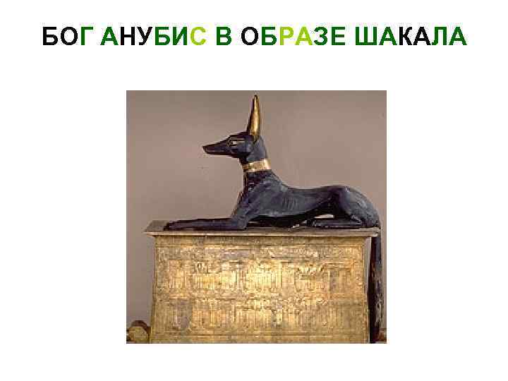 БОГ АНУБИС В ОБРАЗЕ ШАКАЛА 